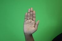 Flat- Open hand fingers together
