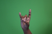 Corna- Animal- middle, ring and thumb together; index and pinky fingers pointing up