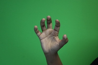 Claw- 5 finger hand bent