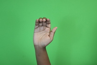 Flat hand, 4 fingers rounded