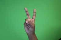 Index and middle finger