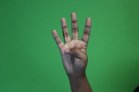 Pinky, ring, middle and index fingers