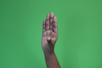 Flat hand, thumb moved in to make L shape