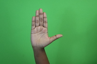 Open B- Flat hand with thumb to the side